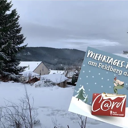 Lichtblick Unter Der Buche