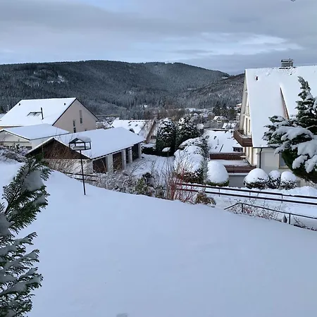 Lichtblick Unter Der Buche Appartement Titisee-Neustadt