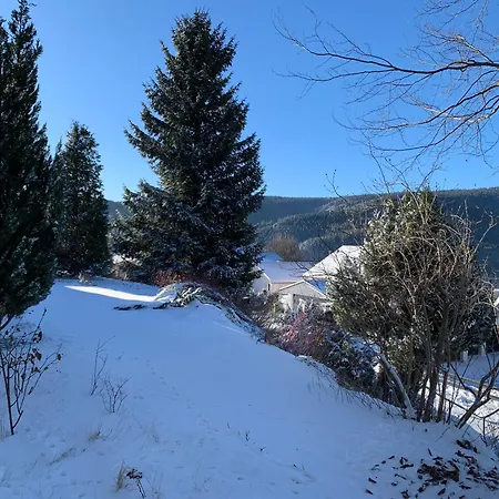 Lichtblick Unter Der Buche Appartement *