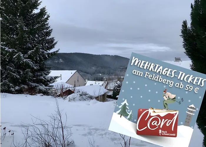 Lichtblick Unter Der Buche