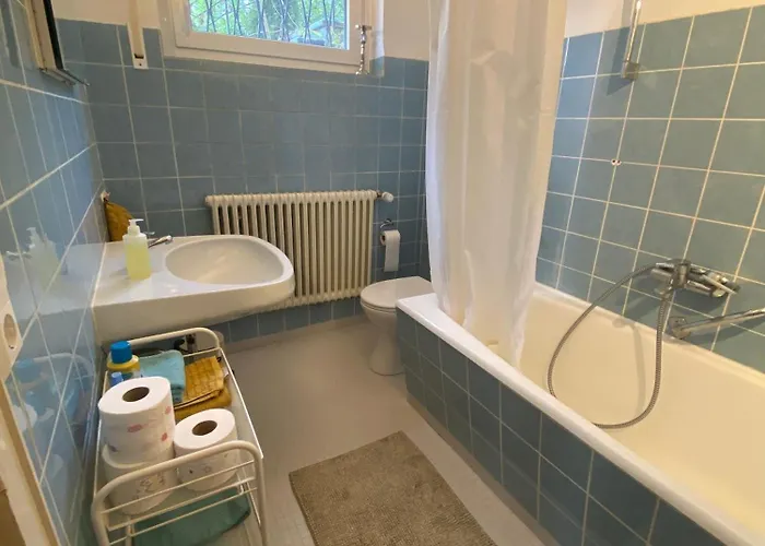 Lichtblick Unter Der Buche * Titisee-Neustadt