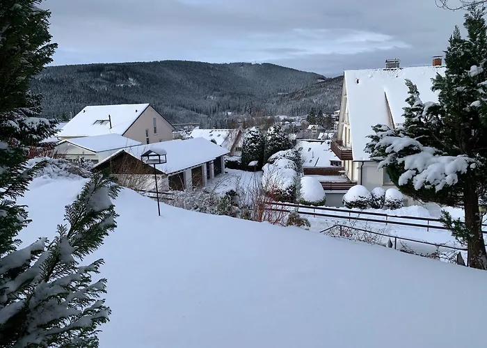 Lichtblick Unter Der Buche Appartement Titisee-Neustadt
