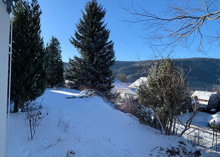 Lichtblick Unter Der Buche Appartement *