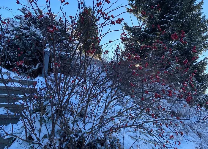 Appartement Lichtblick Unter Der Buche Titisee-Neustadt